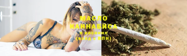 apvp Михайлов
