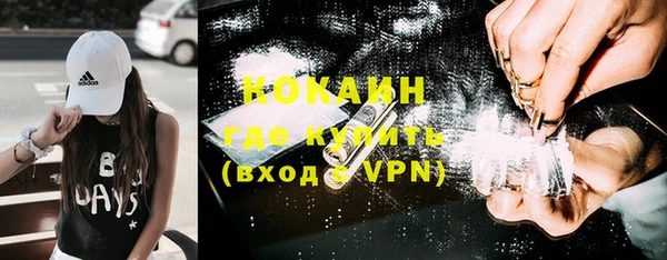 гидра Михайловск