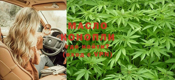 apvp Михайлов
