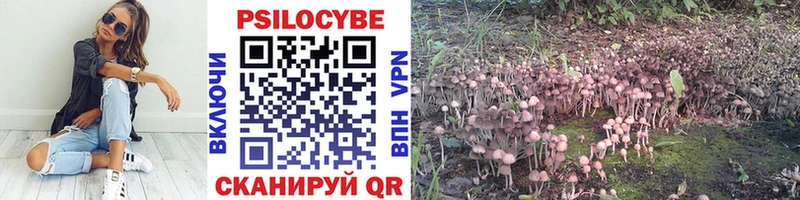 Галлюциногенные грибы Magic Shrooms  где можно купить   Тарко-Сале 